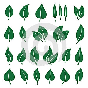 Set of isolated simple leaves icons. Elements for eco and bio logos and symbols.