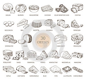 Set of isolated sketches of cheese types photo