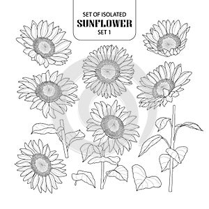 Set of isolated sunflower set 1. photo