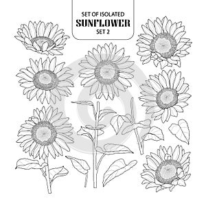 Set of isolated sunflower set 2.