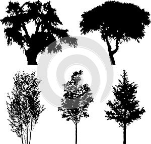 Set isolated trees - 14