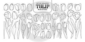 Set of isolated Tulip in 30 styles. Cute hand drawn flower vector illustration in black outline and white plane.