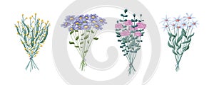 Set of isolated vector bouquets of wild flowers, daisies and roses.