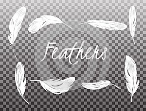 Set of isolated white feathers on transparent background