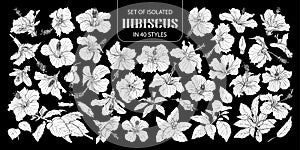 Set of isolated white silhouette hibiscus in 40 styles .Cute hand drawn flower vector illustration in white plane and no outline.