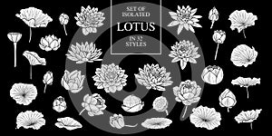 Set of isolated white silhouette lotus in 32 styles .Cute hand drawn flower vector illustration in white plane and no outline.