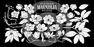 Set of isolated white silhouette magnolia in 21 styles. Cute hand drawn flower vector illustration in white plane and no outline.