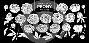 Set of isolated white silhouette peony in 21 styles. Cute hand drawn flower vector illustration in white plane and no outline.