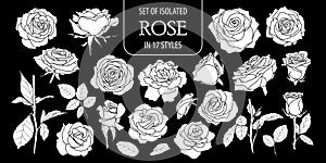 Set of isolated white silhouette rose in 17 styles .Cute hand drawn flower vector illustration in white plane and no outline.