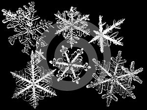 Snowflakes photo