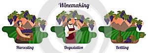 Set of isolated wine production illustrations. Stages of winemaking