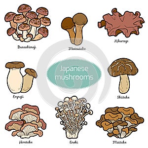 Set of japanese mushrooms