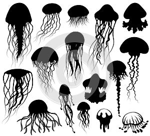Set of jellyfish Silhouettes
