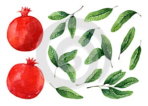 Set of juicy red pomegranates and green leaves