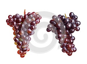 Set with juicy ripe grapes