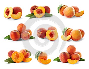 Set with juicy ripe peaches and green leaves