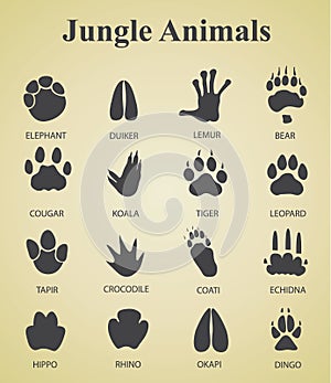 Set of jungle animal tracks