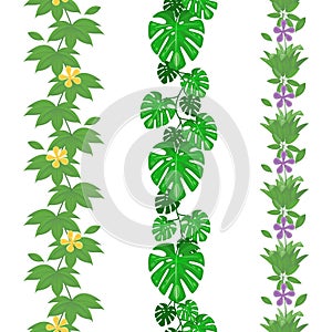 Set of jungle leaves seamless borders. Tropical summer foliage pattern. Rainforest botanical concept. Vector