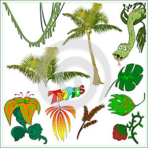 Set: Jungle Tropical Trees Flowers