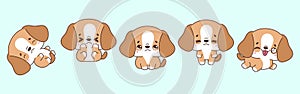 Set of Kawaii Isolated Beagle Dog. Collection of Vector Cartoon Puppy Illustrations for Stickers, Baby Shower, Coloring