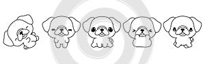 Set of Kawaii Isolated Pug Dog Coloring Page. Collection of Cute Vector Cartoon Puppy Outline for Stickers, Baby Shower