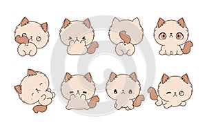Set of Kawaii Isolated Ragamuffin Cat. Collection of Vector Cartoon Animals Illustrations for Stickers, Baby Shower