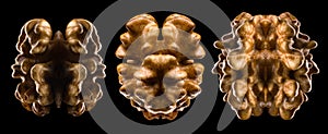Set of kernel walnut isolated on a black background