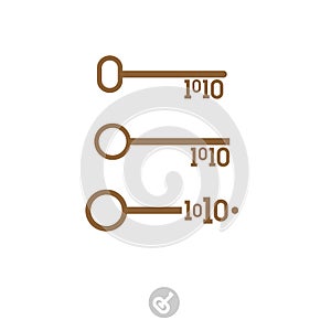 Set of keys with binary code. Digital security system icon. The key to the program code. Innovative concept key. Simple flat icon
