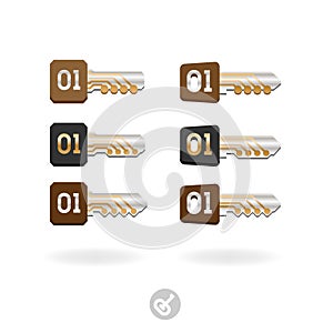 Set of keys with binary code. Electronic digital security system icon. The key to the program code. Concept of the modern key