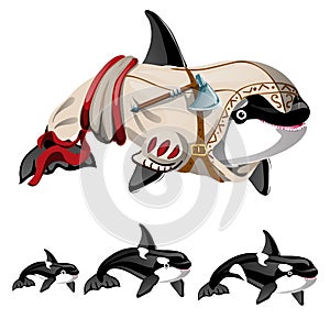 The set of killer whale or orca isolated on a white background. Vector cartoon close-up illustration.