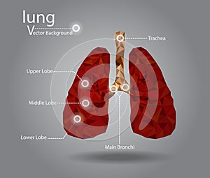 Set of Kitchen Equipment Flat Style Icon