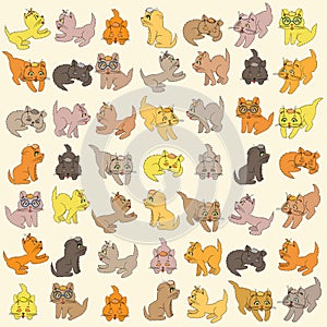 Set Of Kittens. Editable Vector Illustration