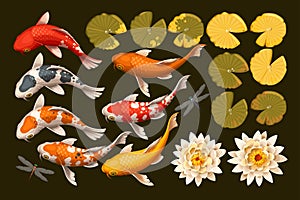 Set of koi fish and lotus