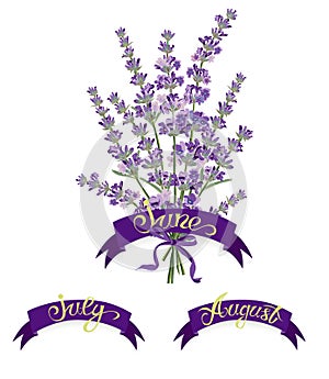 Set labels with hand-drawn lettering, months names of season year, Beautiful bouquet of lavender flowers