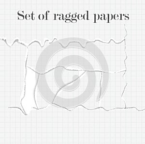 Set of lacerated papers