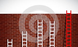 Set of ladders and brick wall. illustration design