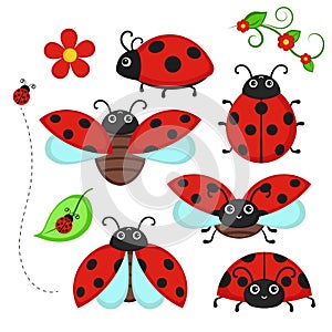 Set of ladybug characters