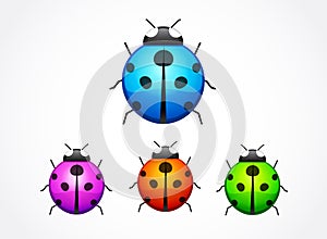 Set of ladybug isolated on white. vector illustration.