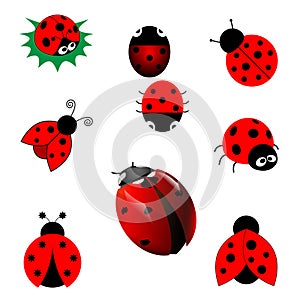 Set of ladybugs