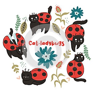 Set of ladybugs cats isolate on a white background. Vector graphics