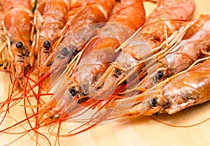 Set langoustine head with black eyes and long mustache close-up on a wooden background