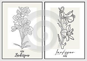 Set of Larkspur flower line art vector drawings.