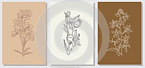 Set of Larkspur flower minimalist vector wall art.