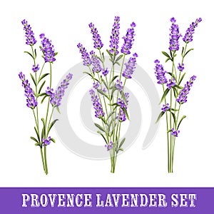 Set of lavender