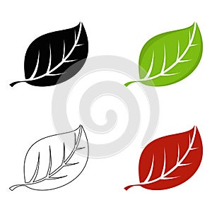Set of leaf photo