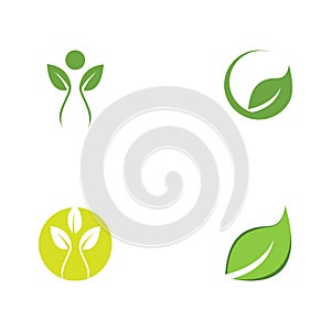 Set Leaf Logo Template vector