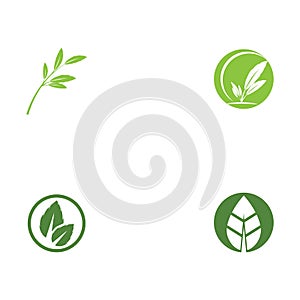 Set Leaf Logo Template vector symbol