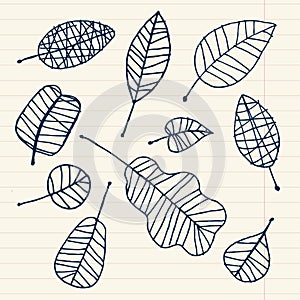 Set of leaf sketch for you design