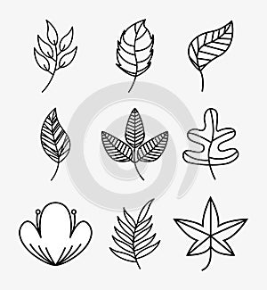 set leafs design