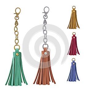 Set of leather tassel. Charm for a woman`s bag on a chain and a carbine.